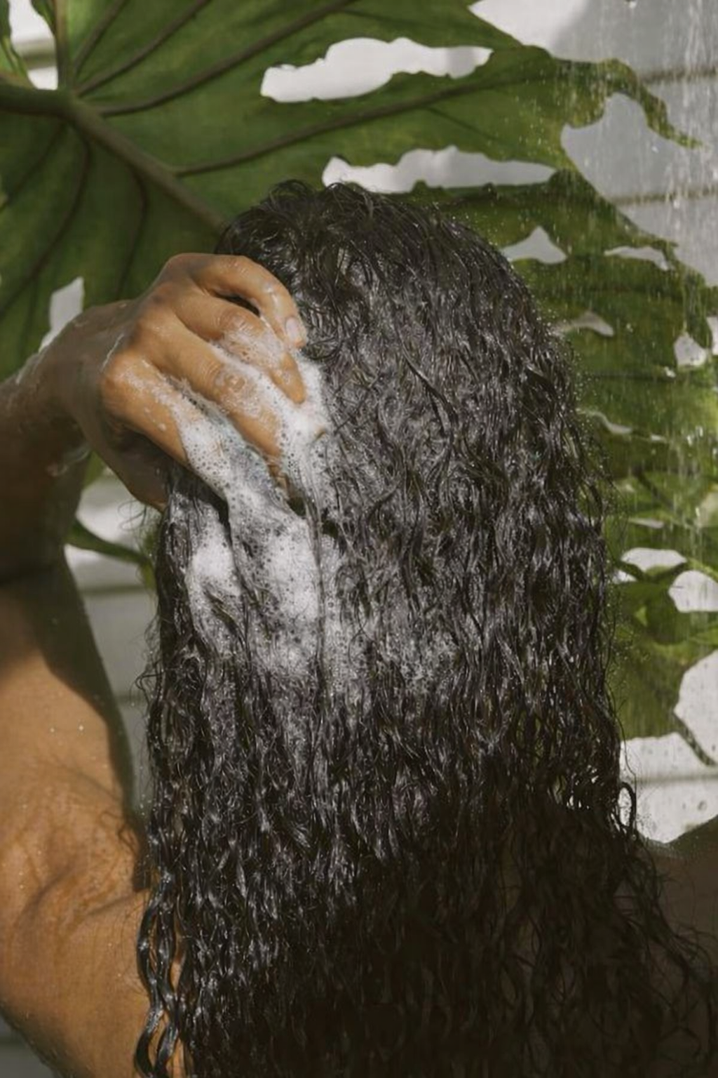 Meilleur shampoing sans sulfates pour boucles : comment choisir